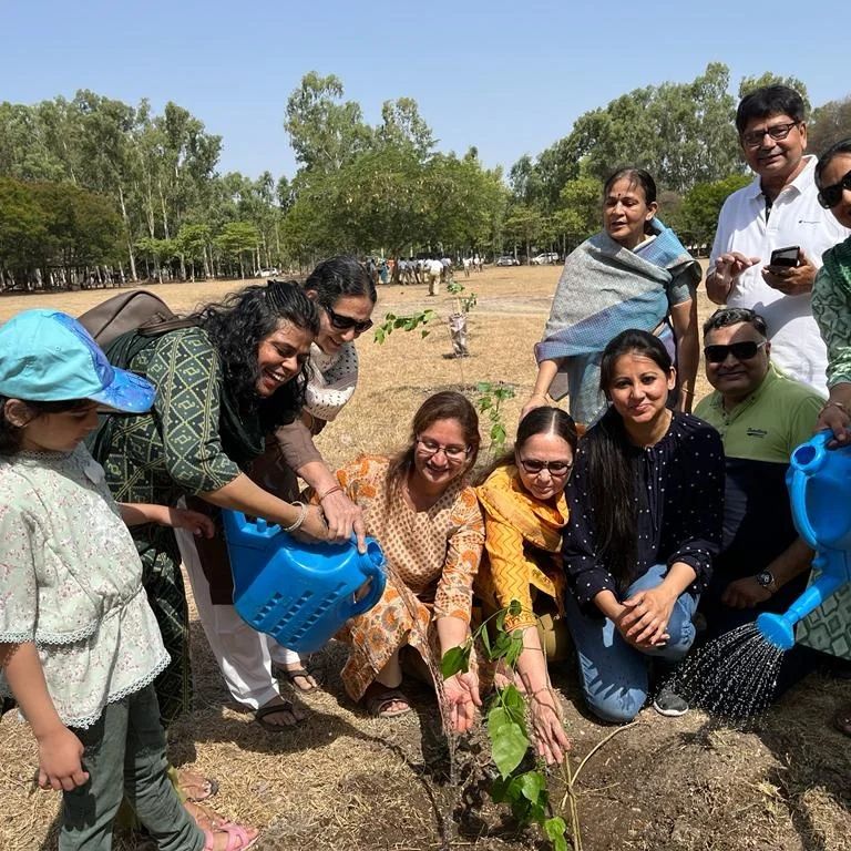 Tree Plantation